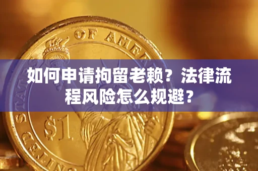 武汉如何申请拘留老赖？法律流程风险怎么规避？