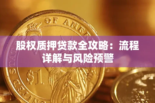 武汉股权质押贷款全攻略：流程详解与风险预警