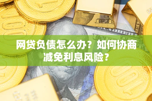 武汉网贷负债怎么办？如何协商减免利息风险？