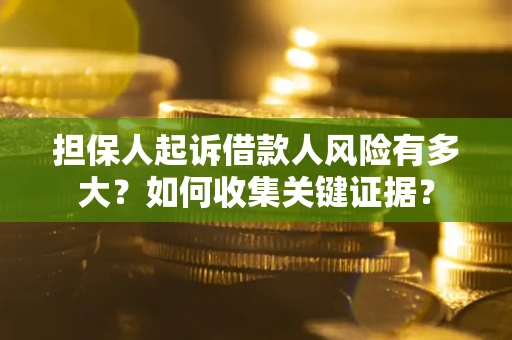 武汉担保人起诉借款人风险有多大？如何收集关键证据？