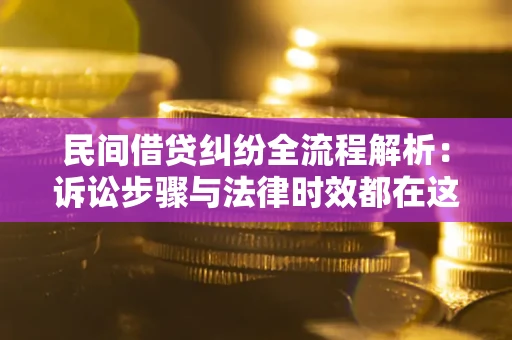 武汉民间借贷纠纷全流程解析：诉讼步骤与法律时效都在这儿了