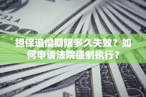 武汉担保追偿期限多久失效？如何申请法院强制执行？