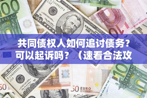 武汉共同债权人如何追讨债务？可以起诉吗？（速看合法攻略）
