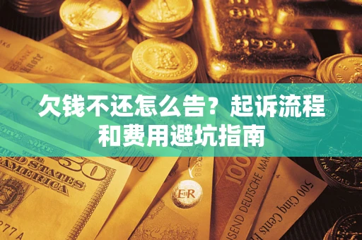 武汉欠钱不还怎么告？起诉流程和费用避坑指南