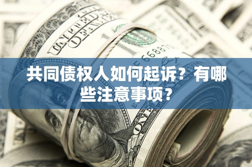 武汉共同债权人如何起诉？有哪些注意事项？